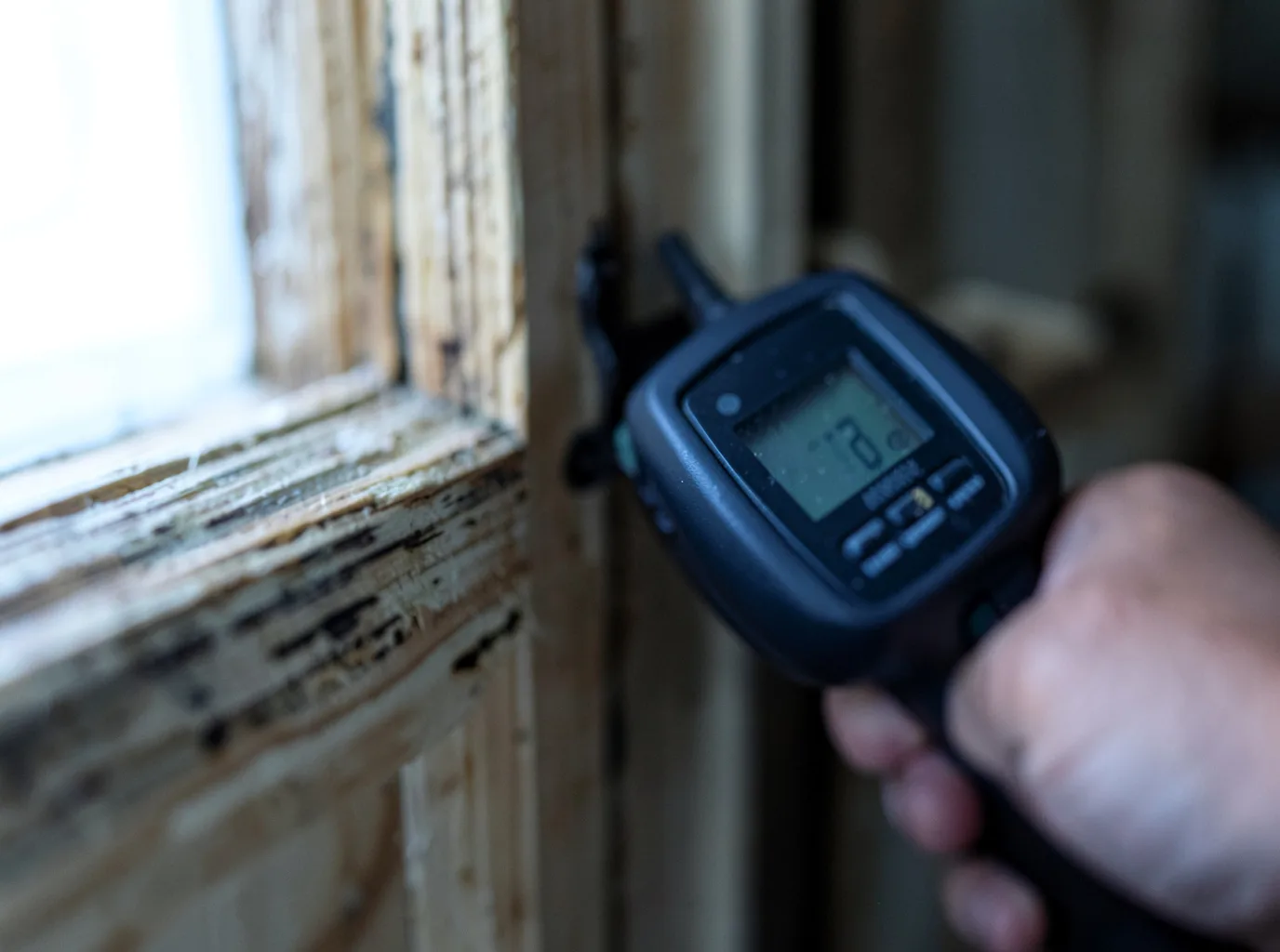 Moisture Inspection And Documentation in Sautee Nacoochee, GA